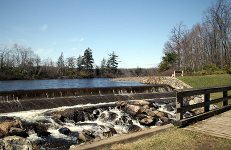 Dam by Waypoint 2
