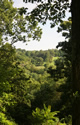 View from Eagle Hill Summit