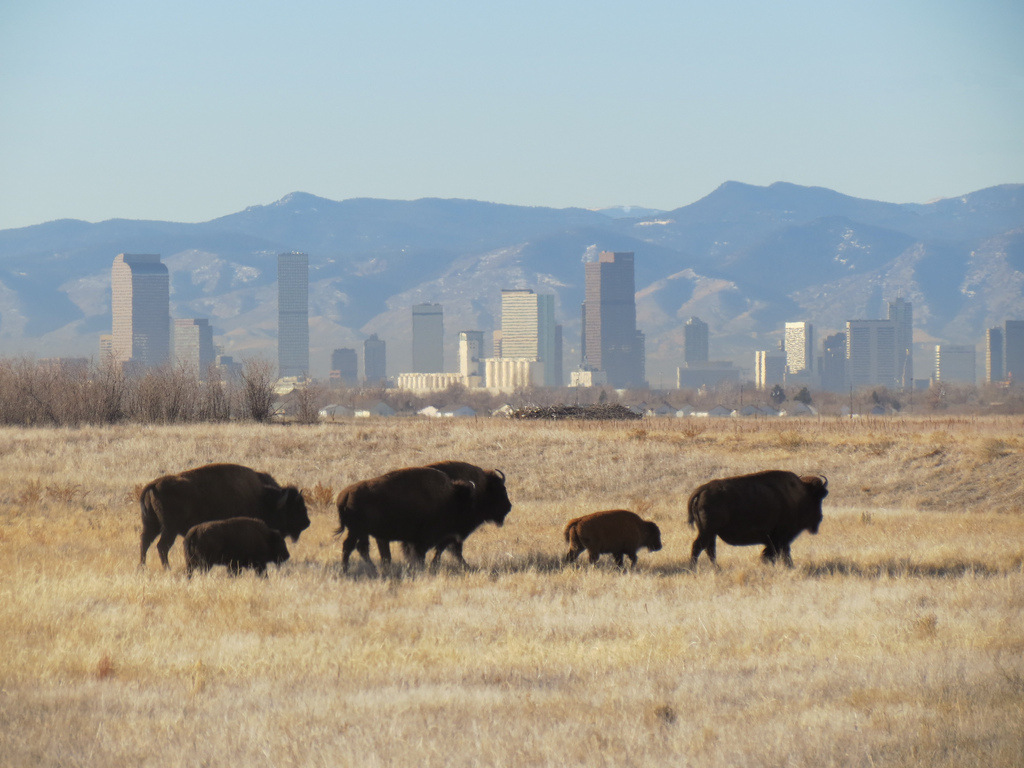 Short Escapes A Rocky Mountain Arsenal for Nature Lovers